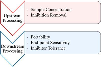 Recent Developments in Isothermal Amplification Methods for the Detection of Foodborne Viruses